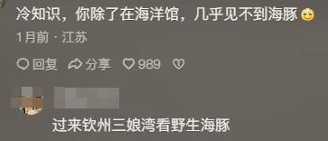 物!看完分享直接颠覆认知笑到停不下来澳门新葡京海豚竟是海里最色的哺乳动(图2) 物!看完分享直接颠覆认知笑到停不下来澳门新葡京海豚竟是海里最色的哺乳动(图2)